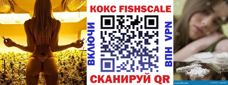 Cocaine Эквадор Цимлянск