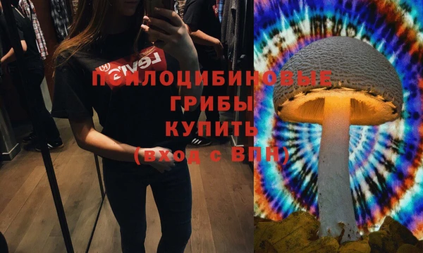 твердый Аркадак