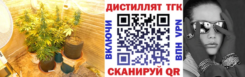 где купить наркотик  Цимлянск  OMG ссылки  ТГК гашишное масло 